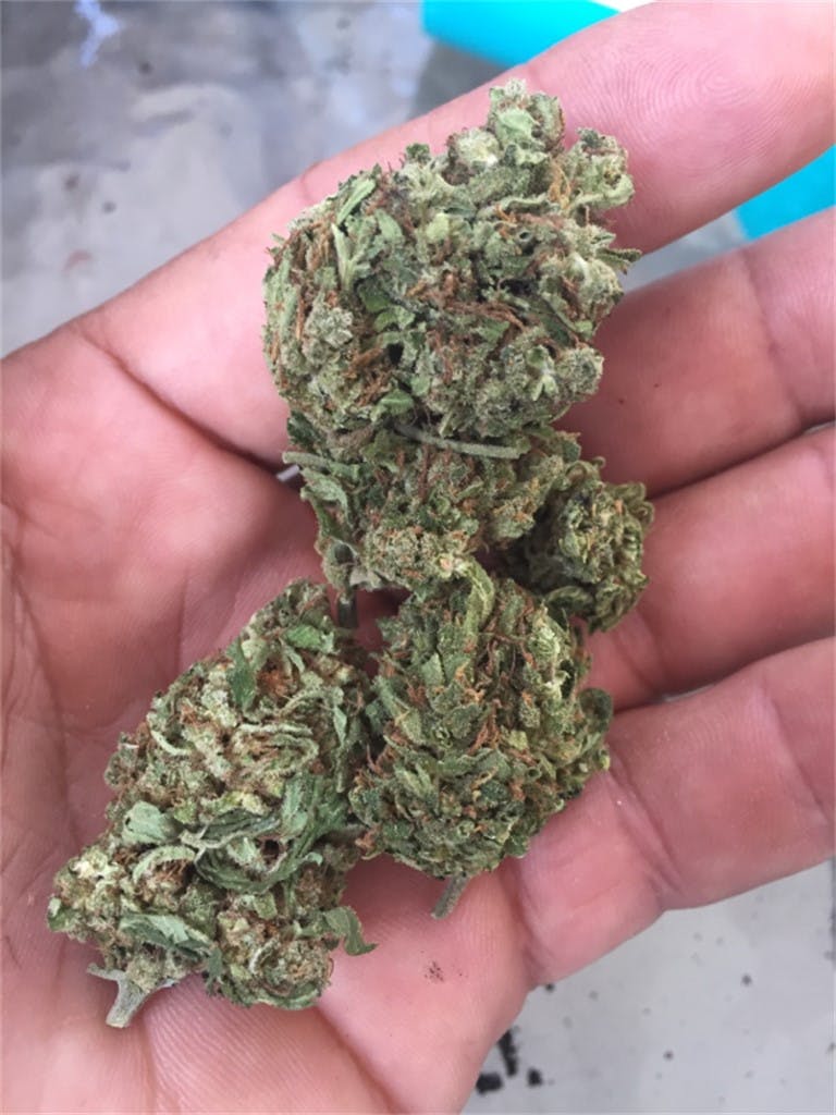 Photos of Juicy Fruit Weed Strain Buds Leafly