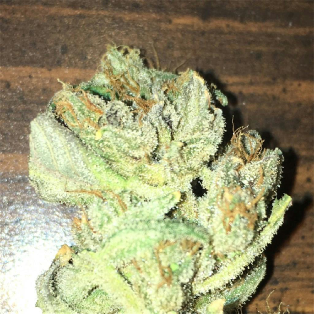 Juicy Fruit aka Juicy Fruit OG, Fruity Juice Weed Strain Information