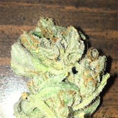 User uploaded image of Juicy Fruit