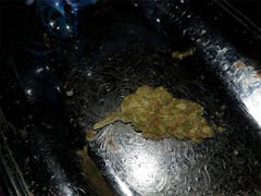 User uploaded image of Juicy Fruit