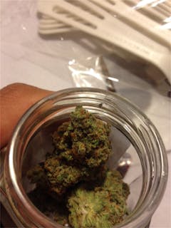 User uploaded image of Juicy Jack