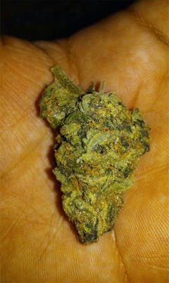 User uploaded image of Juicy Jack