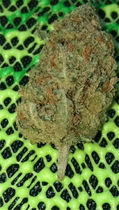 User uploaded image of Juicy Jack