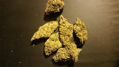 User uploaded image of Juliet