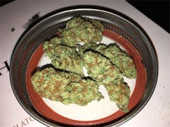 User uploaded image of Juliet