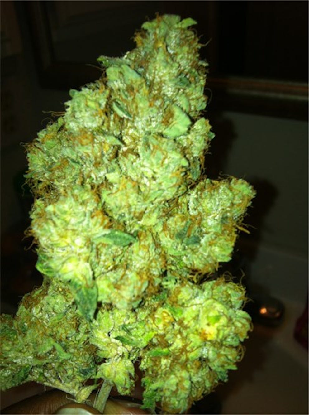 Photos of Jupiter OG Weed Strain Buds Leafly