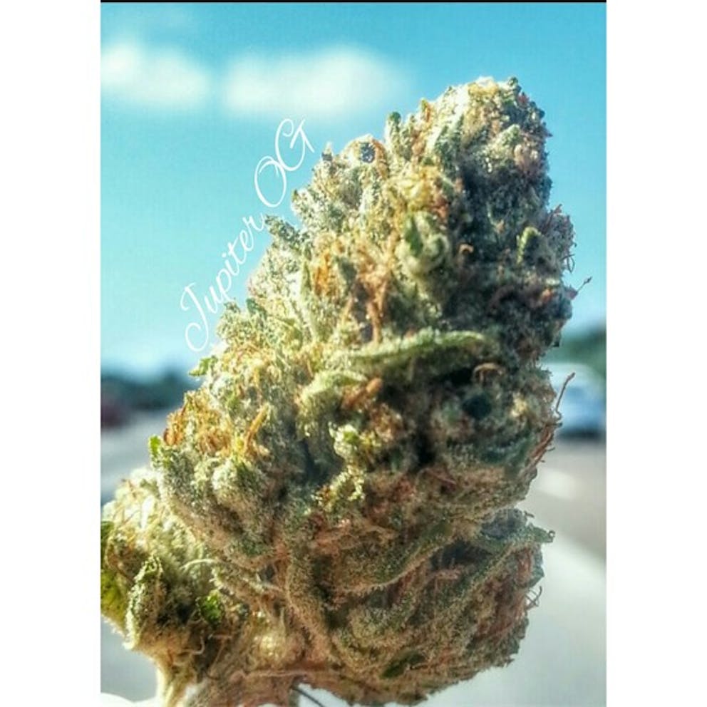 Photos of Jupiter OG Weed Strain Buds Leafly