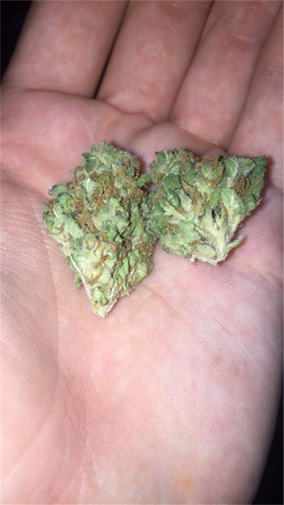 Photos of Jupiter OG Weed Strain Buds Leafly
