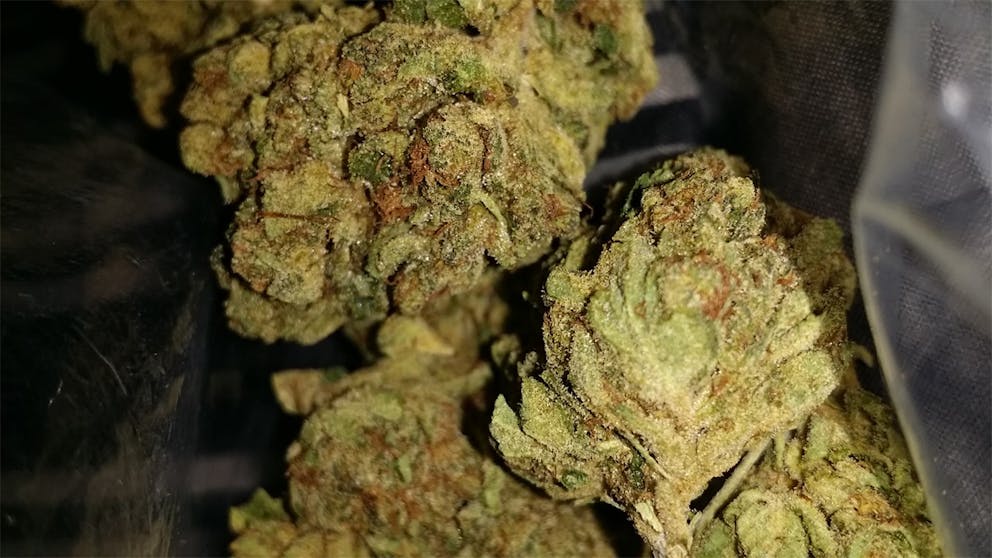 Photos of Jupiter OG Weed Strain Buds Leafly