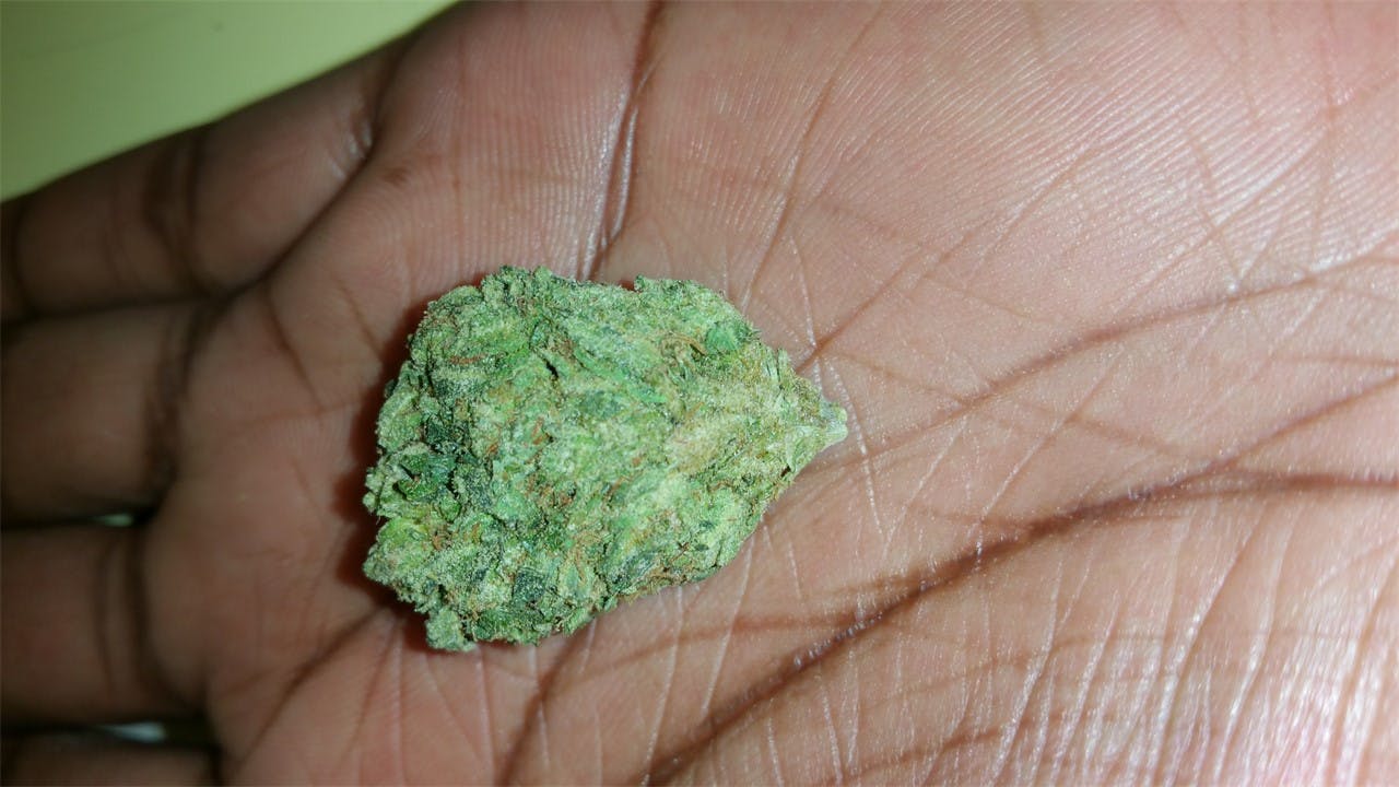 Jupiter OG Weed Strain Information Leafly