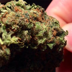 User uploaded image of K-Train