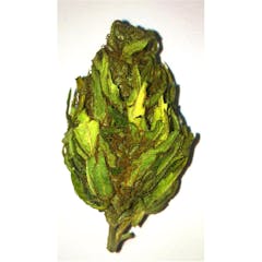 User uploaded image of K-Train