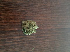 User uploaded image of K1