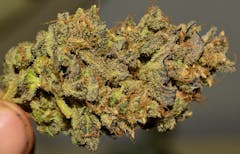 User uploaded image of Kaboom