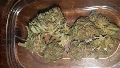 User uploaded image of Kalashnikova