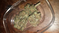 User uploaded image of Kalashnikova