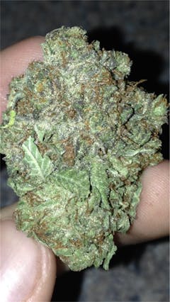 User uploaded image of Kalashnikova