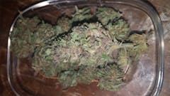 User uploaded image of Kalashnikova