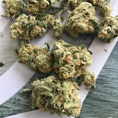 User uploaded image of Kali 47