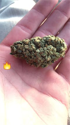 User uploaded image of Kali Mist