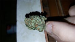 User uploaded image of Kali Mist