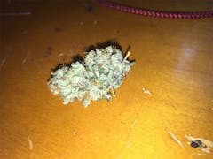 User uploaded image of Kali Mist