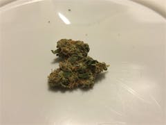 User uploaded image of Kali Mist