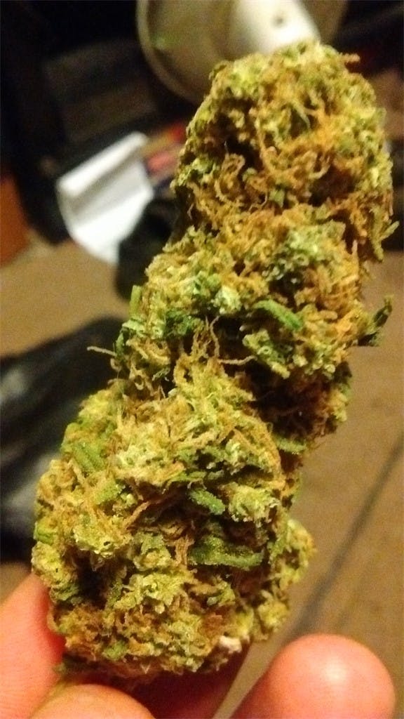Photos of Kandy Kush Weed Strain Buds Leafly