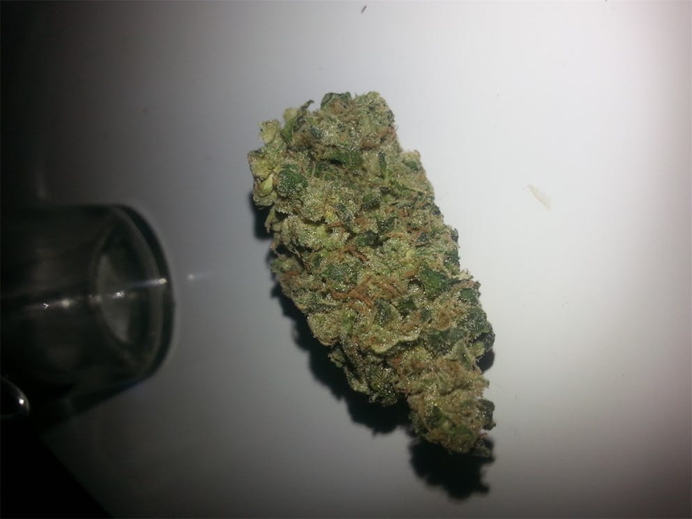 Photos of Kandy Kush Weed Strain Buds Leafly