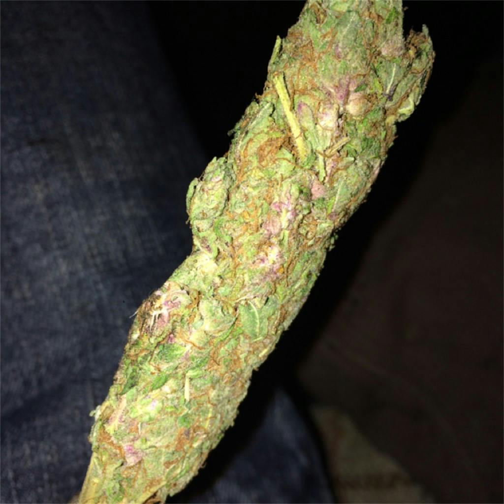 Photos of Kandy Kush Weed Strain Buds Leafly