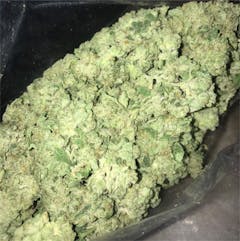 User uploaded image of Kandy Kush