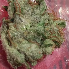 User uploaded image of Kandy Kush