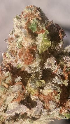 User uploaded image of Kandy Kush