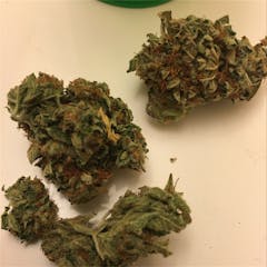 User uploaded image of Kandy Kush