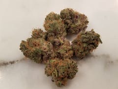 User uploaded image of Katsu