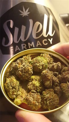 User uploaded image of Katsu