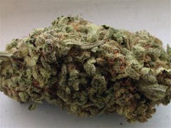 User uploaded image of Kerala Krush