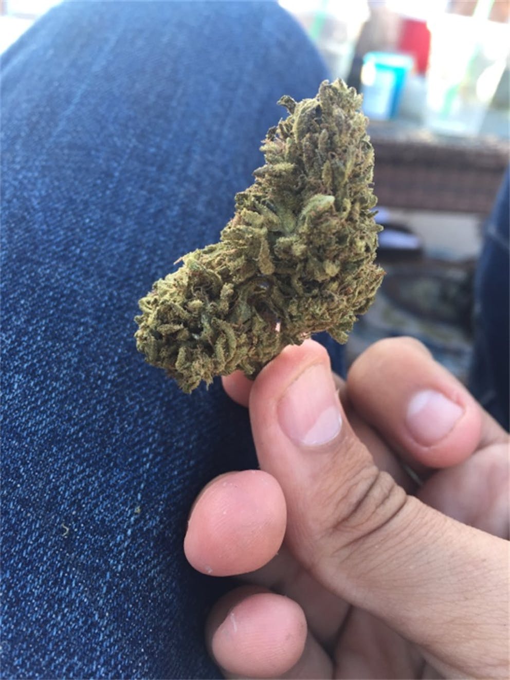 Photos of Key Lime Pie Weed Strain Buds Leafly