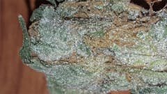 User uploaded image of Key Lime Pie