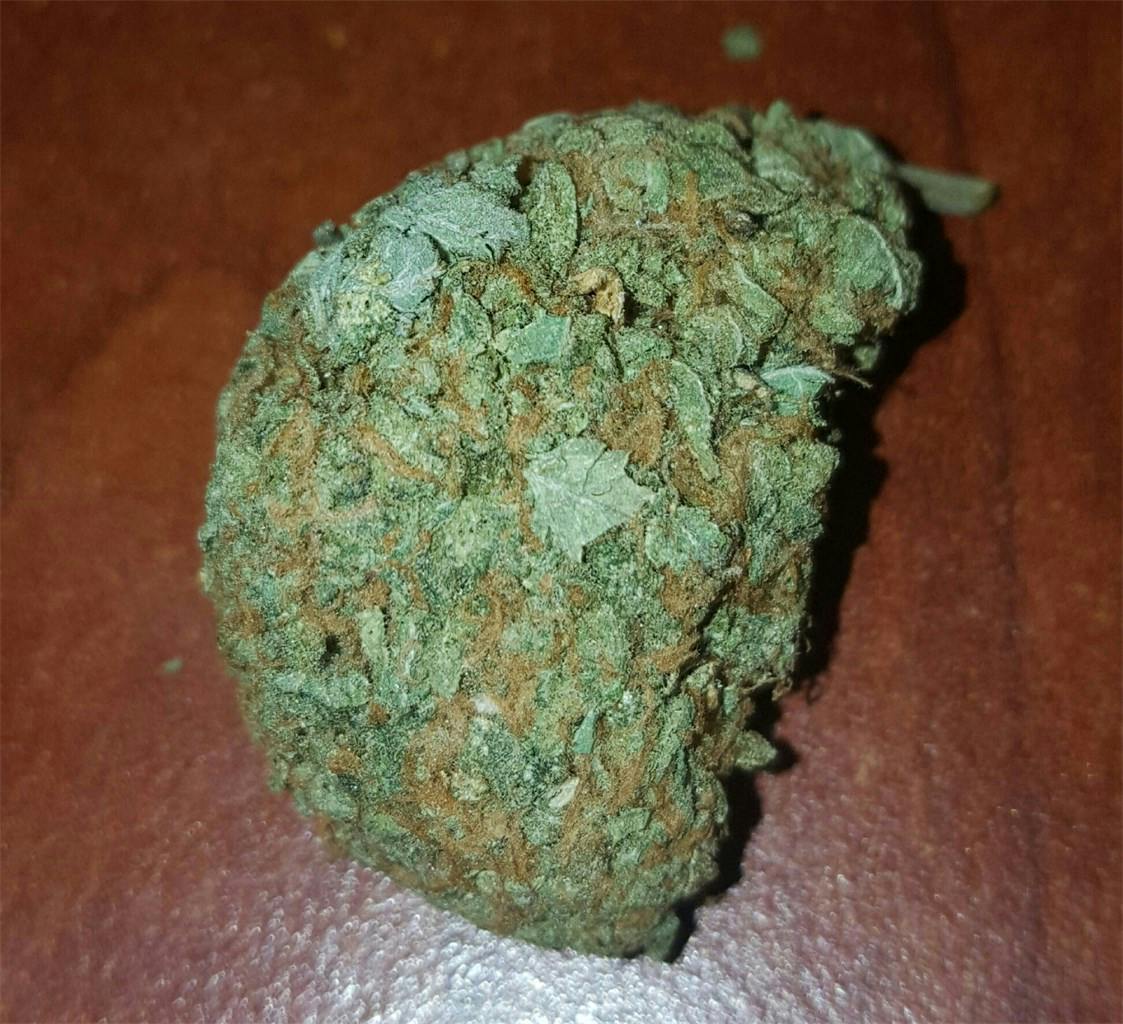 Key Lime Pie aka Key Lime GSC, Key Lime Cookies Weed Strain Information