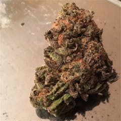 User uploaded image of Key Lime Pie