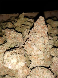 User uploaded image of Key Lime Pie