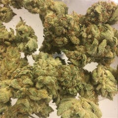 User uploaded image of Key Lime Pie