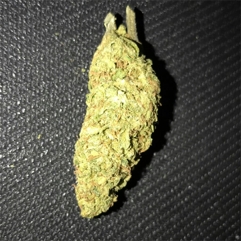 Khalifa Kush aka KK, Wiz Khalifa, Wiz Khalifa Kush Weed Strain