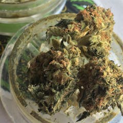 User uploaded image of Khalifa Kush