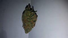 User uploaded image of Kid N' Kookies