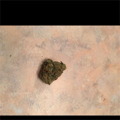 User uploaded image of Kid N' Kookies