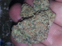 User uploaded image of Kill Bill