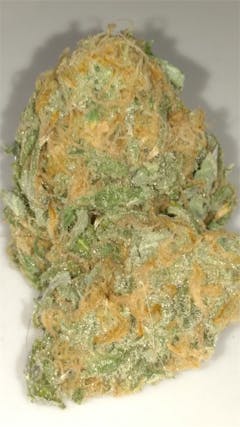 User uploaded image of Kill Bill