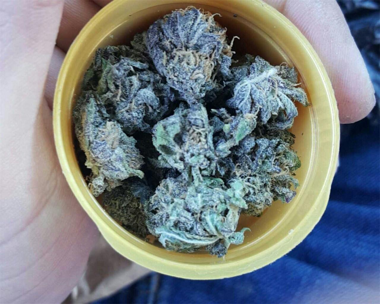 Killer Grape Weed Strain Information Leafly